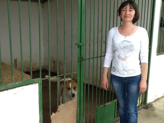 Віктор Балога несподівано відвідав мукачівський притулок для собак