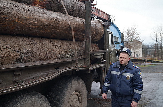 На Іршавщині ДАІшники спільно з громадськими активістами затримали машину "лівого" лісу і двох п