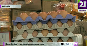 На Закарпатті рекордно здорожчали яйця (ВІДЕО)