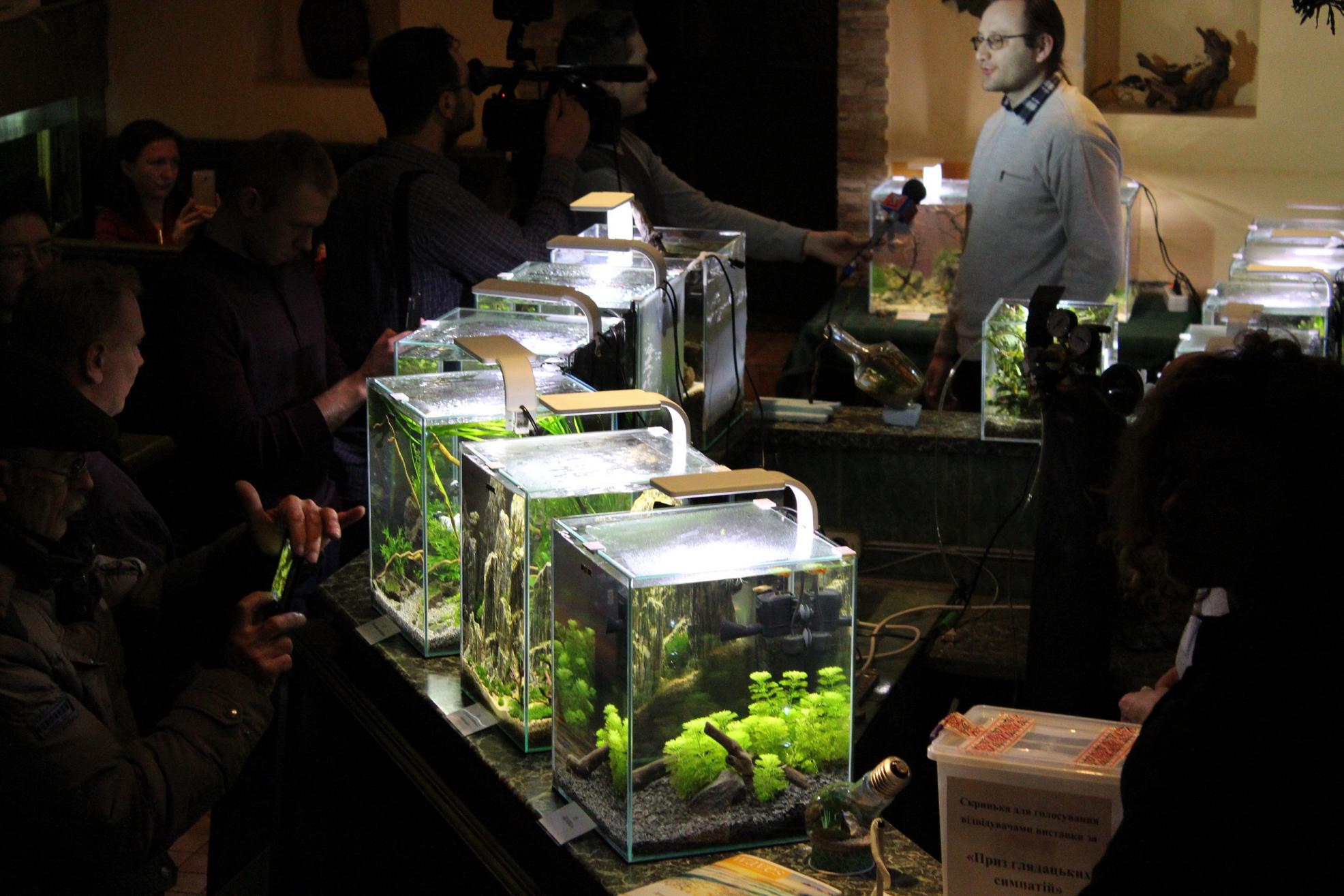 В Ужгороді відкрилася Друга виставка-конкурс нано-акваріумів Закарпаття (ФОТО, ВІДЕО)