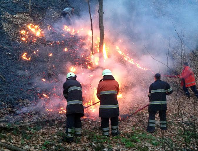 За добу на Закарпатті 4 рази гасили пожежі в лісових масивах (ФОТО)