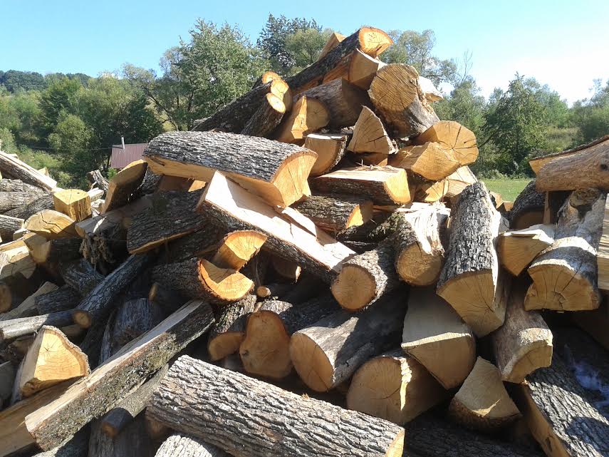 На Ужгородщині під час обшуку на лісопилці вилучено понад 30 кубометрів "незаконних" дуба, граба та бука (ФОТО)