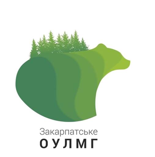 Закарпатські лісогосподарники хваляться, що є лідерами Карпатського регіону за прибутком від зрубаного лісу