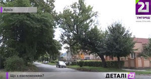 3,5 млн грн виділили цьогоріч на озеленення в Ужгороді (ВІДЕО)