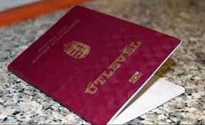 Клімкін засудив оприлюднення списку власників угорських паспортів "Миротворцем"