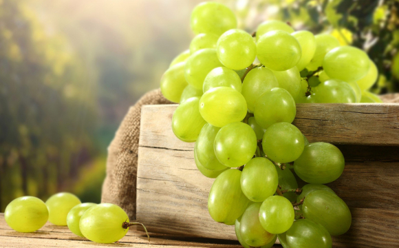 На міжнародному  інвестиційному форумі в Ужгороді обговорять перспективи виноградарства та виноробства