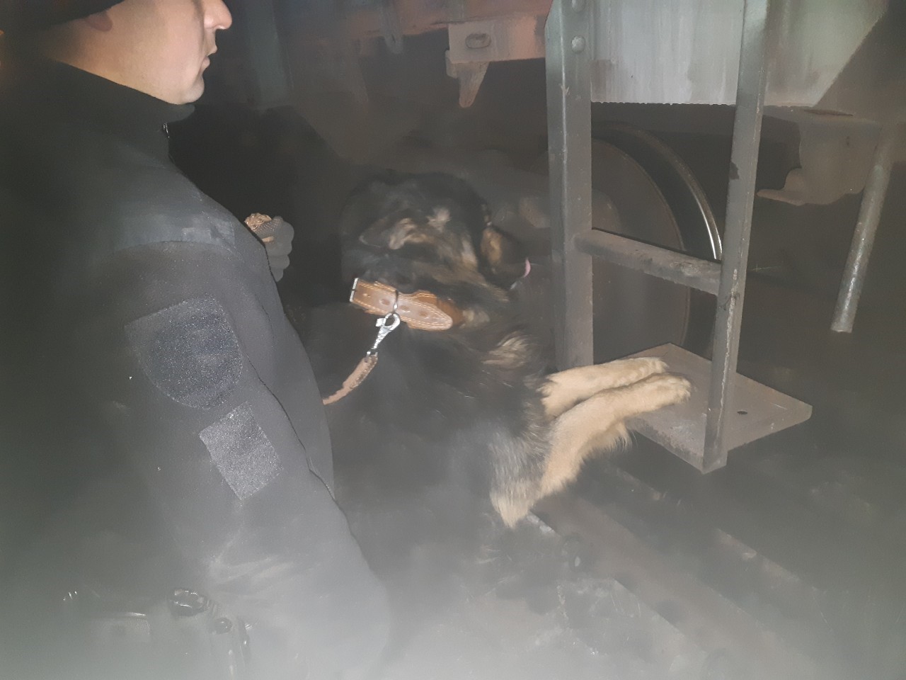 У вантажному поїзді на Закарпатті після спрацювання службового собаки знайшли майже 3,5 тисячі пачок схованих сигарет (ФОТО)