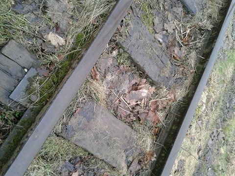 На Іршавщині затримали чоловіка, котрий пошкодив залізничну колію, викравши рейки 