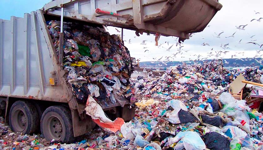 Закарпаття здивувало експертів: перше - по сортуванню сміття та передостаннє - по переробці відходів