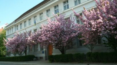 Апеляційний суд Закарпатської області готується до ліквідації