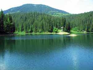 Площа природно-заповідного фонду Закарпатської області становить майже 14%