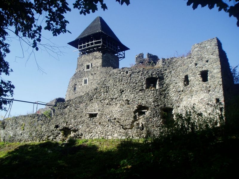 На Закарпатті суд повернув Невицький замок на баланс області