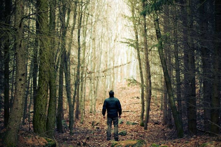 На Мукачівщині шукають чоловіка, котрий пішов до лісу й не повернувся
