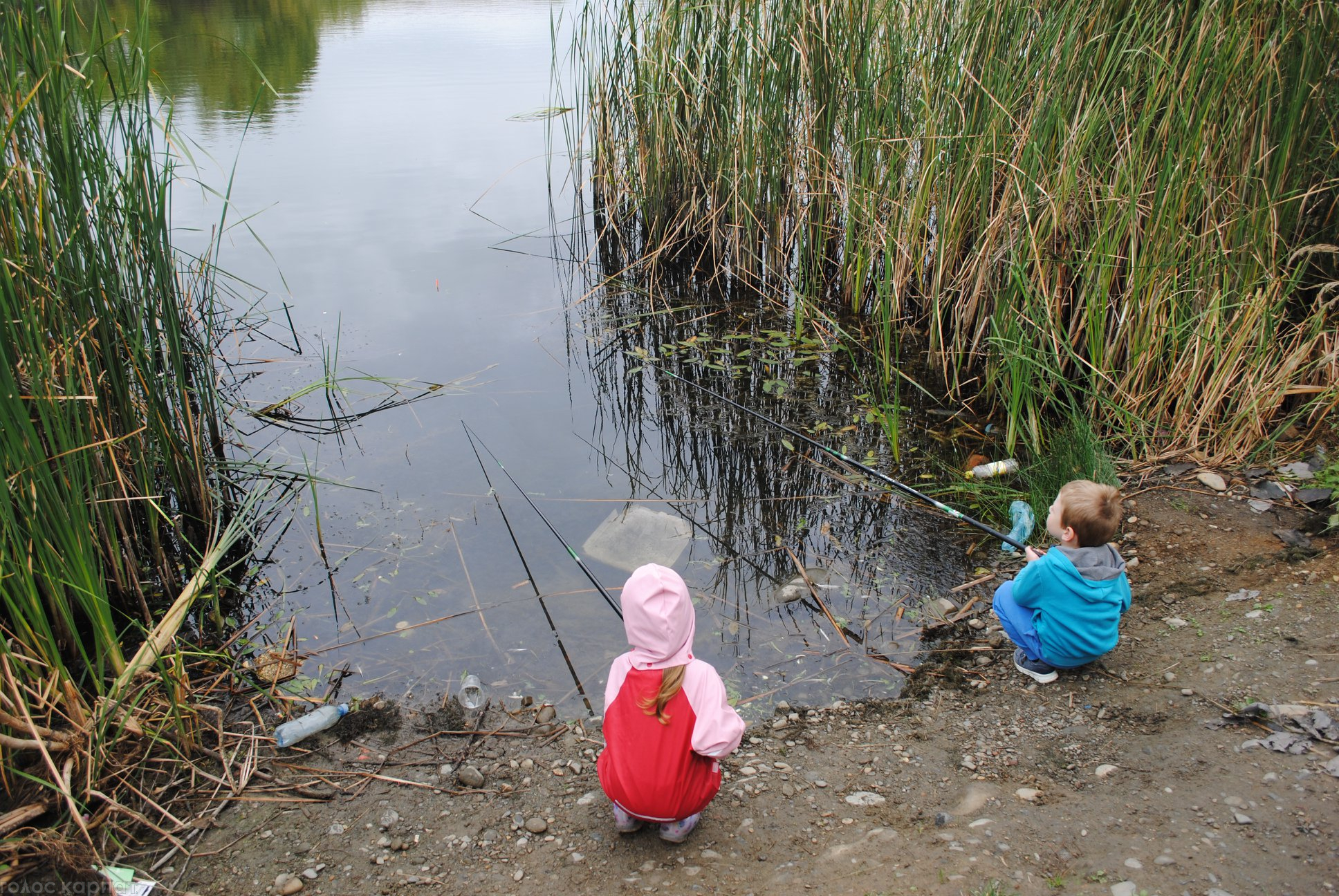 На Ужгородській Кірпічці досвідчені рибалки вчили дітей правильно вудити рибу і не шкодити довкіллю (ФОТО)