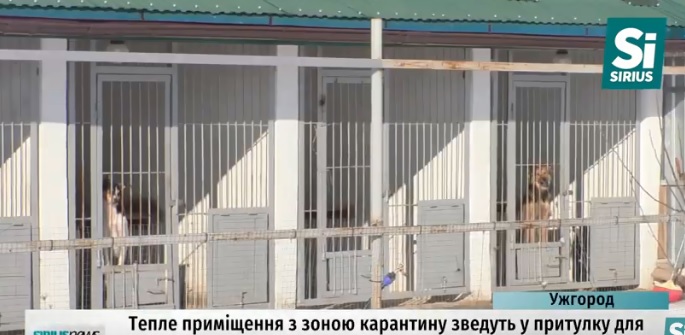 Тепле приміщення із зоною карантину планують облаштувати у притулку для тварин "Барбос" в Ужгороді (ВІДЕО)
