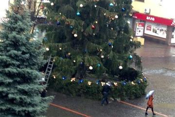 Новорічну ялинку в Мукачеві встановлять вже до 5 грудня