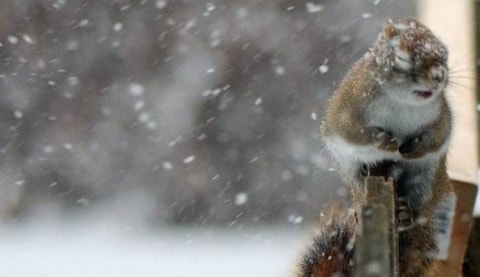 Синоптики прогнозують у гірських районах Закарпаття сильний сніг і ожеледь