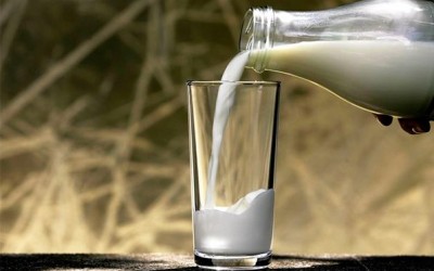 Закарпаття і надалі залишається регіоном із найбільшим падінням виробництва молока