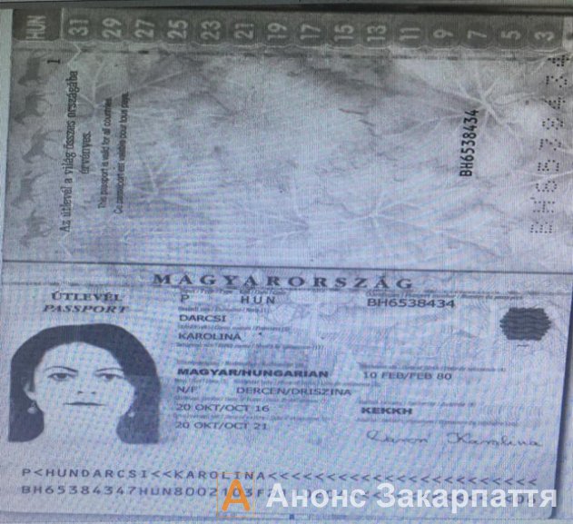 Керівник фракції КМКС у Берегівській міськраді пред'явила на кордоні угорський паспорт – ЗМІ (ФОТО)