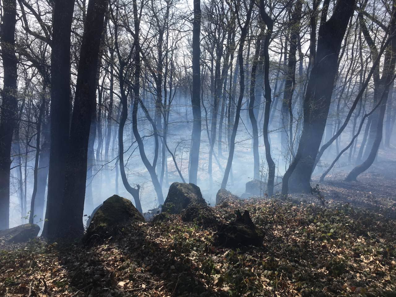 На Великоберезнянщині тричі горіла лісова підстилка, а в Ужгороді внаслідок спалювання сміття згорів металевий вагончик