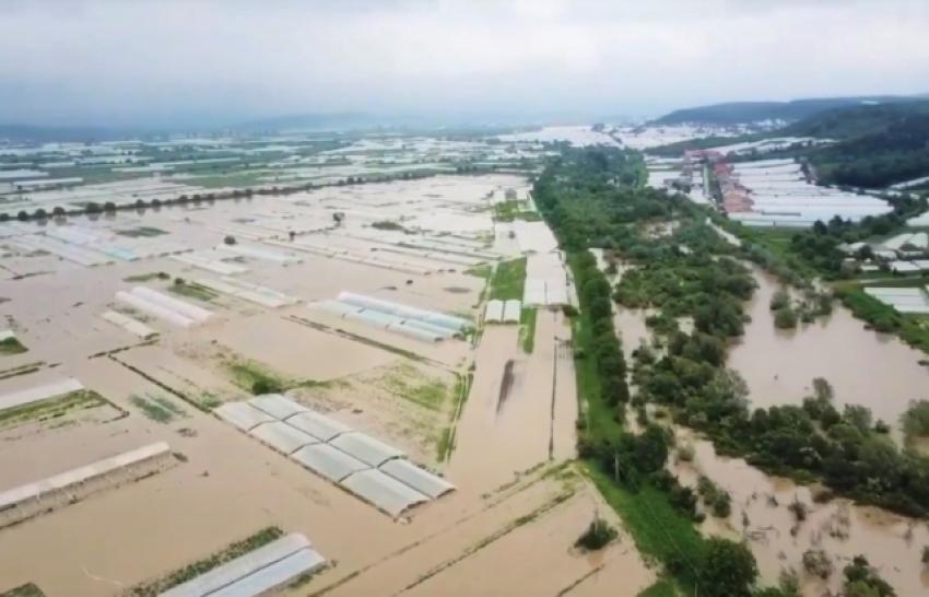 На Закарпатті підрахували попередні збитки від стихії: 100 млн грн шкоди водному господарству, близько 50 млн – сільському