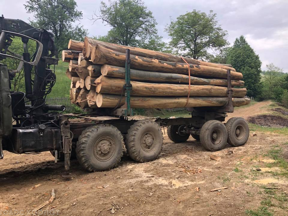 На Рахівщині "чорні лісоруби", в яких вилучали крадену деревину, пошкодили камінням поліцейські автівки