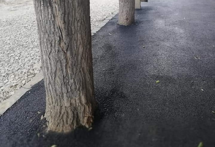 ФОТОФАКТ. У Берегові на тротуарі заасфальтували дерева