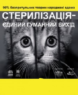 Ужгородські зоозахисники петицією вимагають від влади профінансувати масову стерилізацію безпритульних тварин