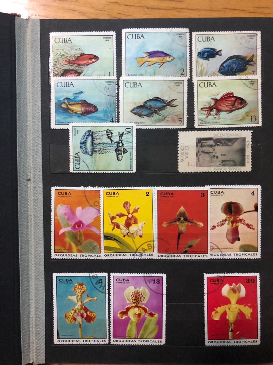 На митниці на Закарпатті в українки, що їхала в в Угорщину, вилучили колекцію поштових марок та радянську енциклопедію (ФОТО)