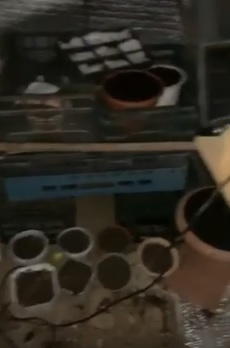 Мешканець Солотвина на Тячівщині облаштував удома мініплантацію з вирощування конопель (ВІДЕО)