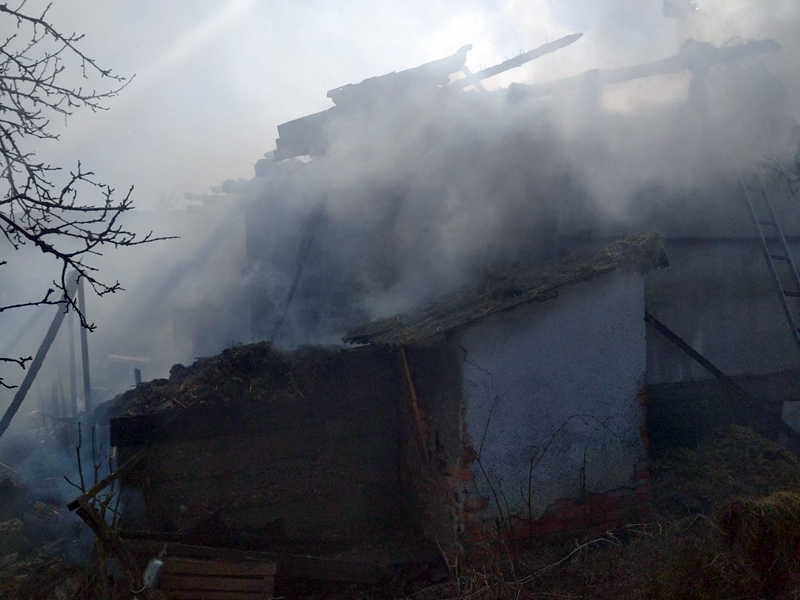 На Хустщині вогнеборці ліквідували пожежу в літній кухні, врятувавши при цьому житловий будинок (ФОТО)