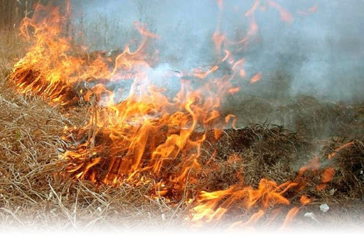 Унаслідок загорання сухої трави на Закарпатті горіли дачний будинок та будівля, що не експлуатується