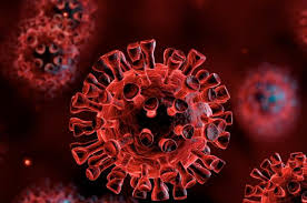 За добу в Ужгороді виявили 15 нових випадків коронавірусної інфекції