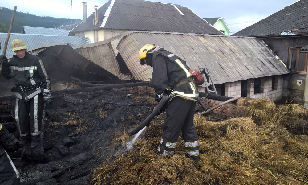 На Мукачівщині гасили пожежу, що охопила 2 надвірні споруди й загрожувала будинкам (ФОТО)