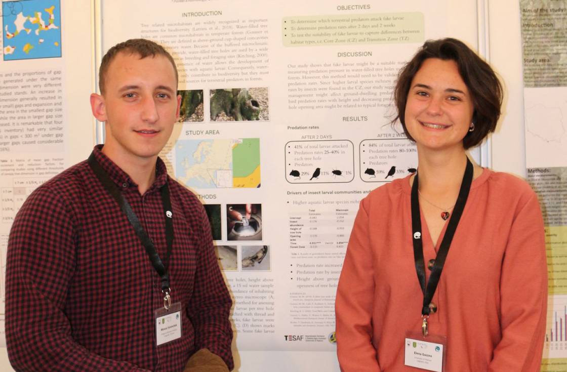 Аспірант біологічного факультету спільно із закордонними науковцями досліджує букові деревні "водойми" (ФОТО)