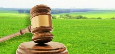 На Мукачівщині через суд повертають державі незаконно виділену землю вартістю 1,3 млн грн