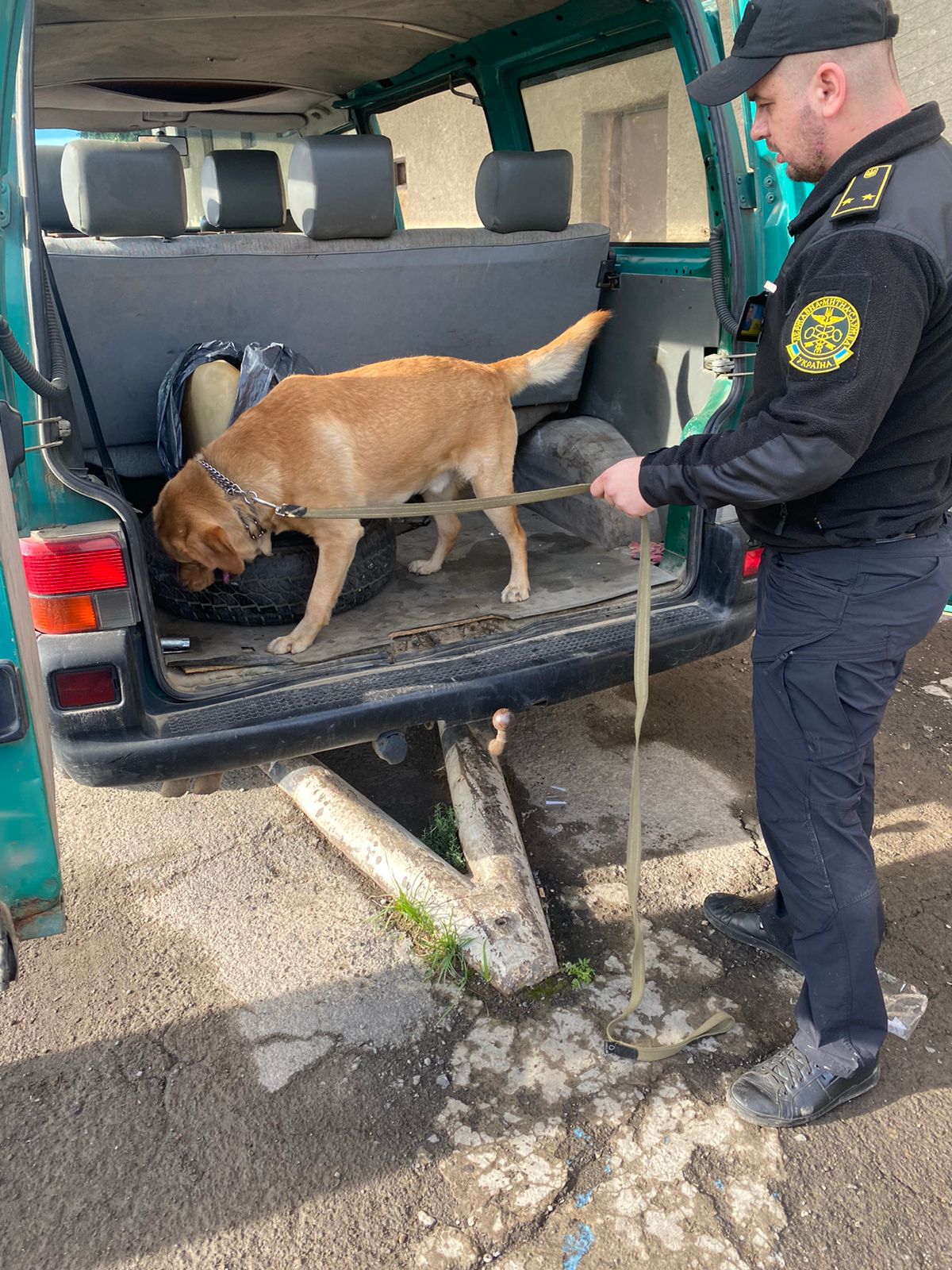 Службові собаки на Закарпатській митниці допомогли виявити понад півсотні порушень (ФОТО)