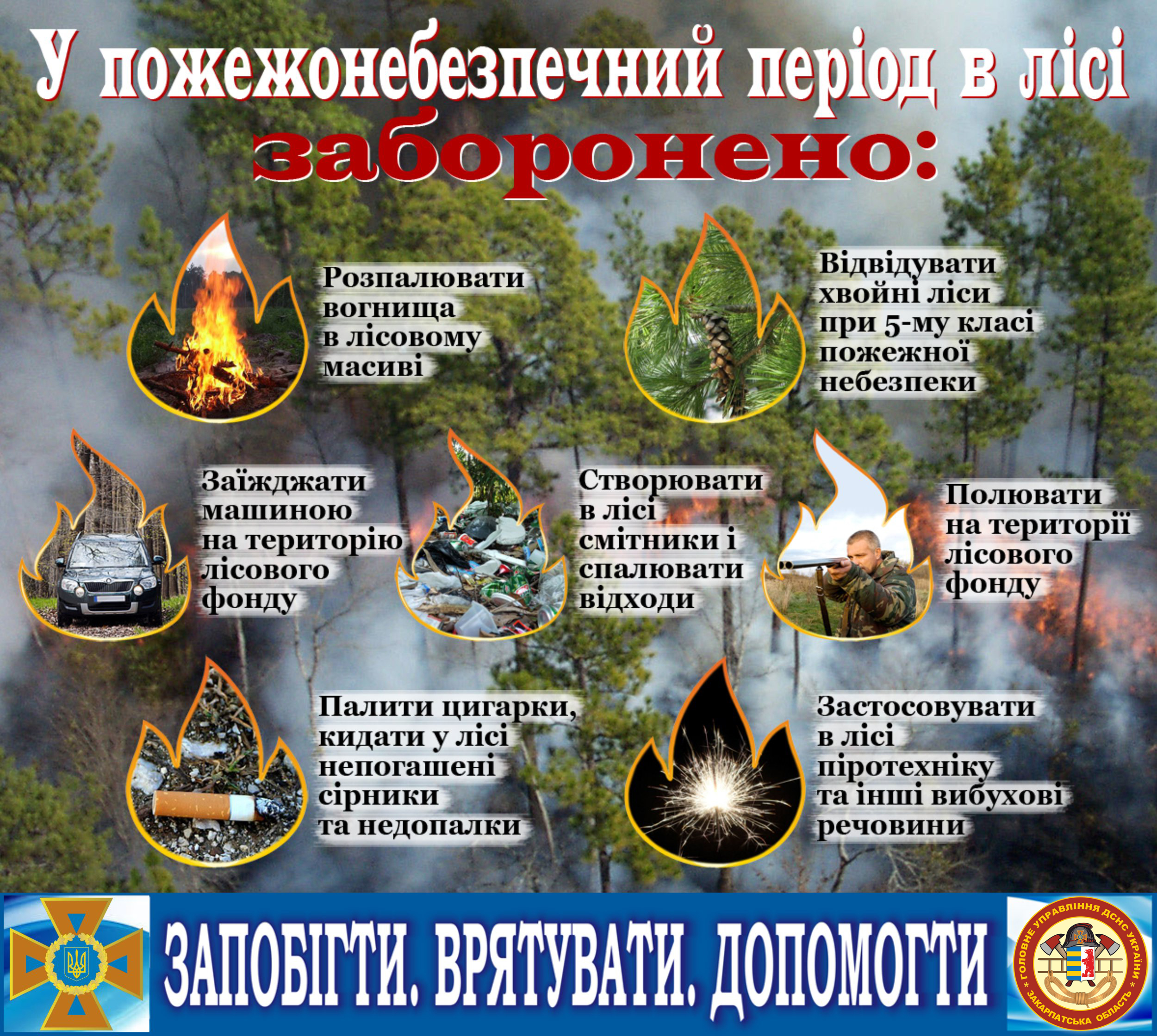 На місці підпалу сухої трави на Ужгородщині знайшли непритомну літню жінку з опіками