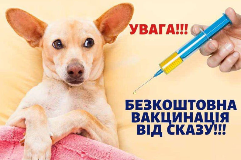 У Мукачеві у четвер безкоштовно вакцинуватимуть тварин від сказу