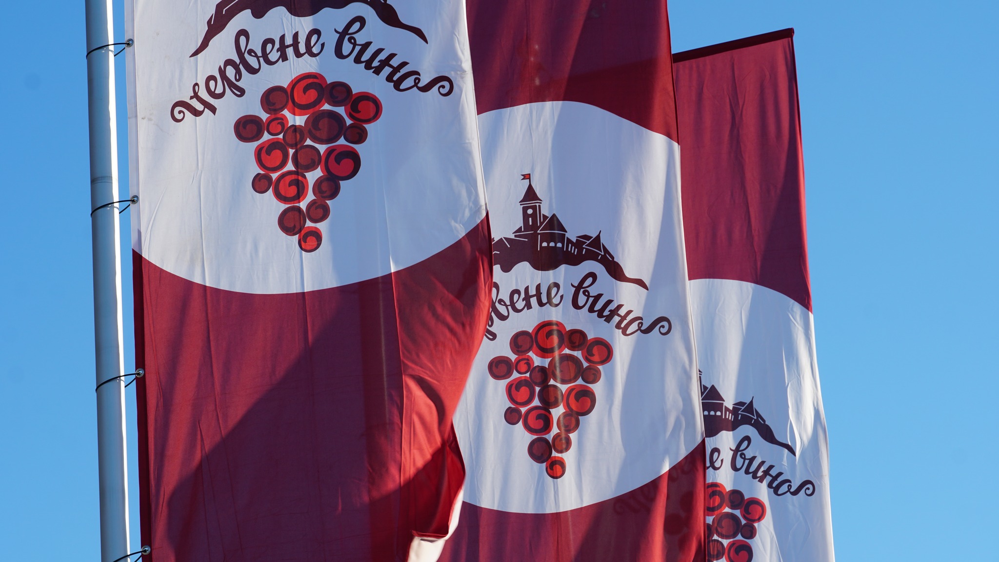 18 сортів вина від 22 виноробів можна спробувати на "Червеному вині" у Мукачеві (ФОТО)