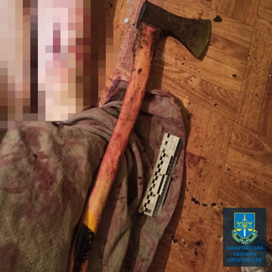 Вбивцю тітки на Берегівщині взяли під варту та помістили у медзаклад із суворим наглядом