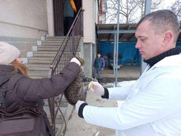 На Мукачівщині щеплять домашніх тварин, щоб не допустити поширення захворювання на сказ (ФОТО)