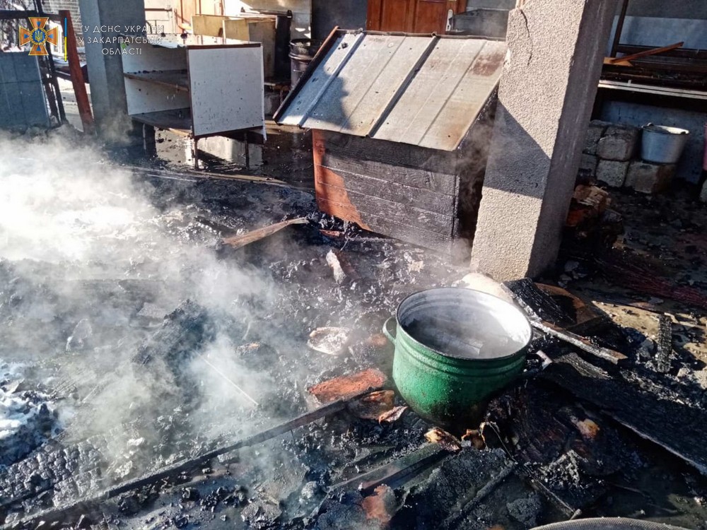 Завдяки повідомленню сусідів на Берегівщині будинок врятували від знищення вогнем (ФОТО)