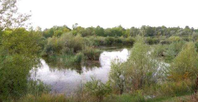 Чорні озера в Ужгороді – під загрозою зникнення (ВІДЕО)