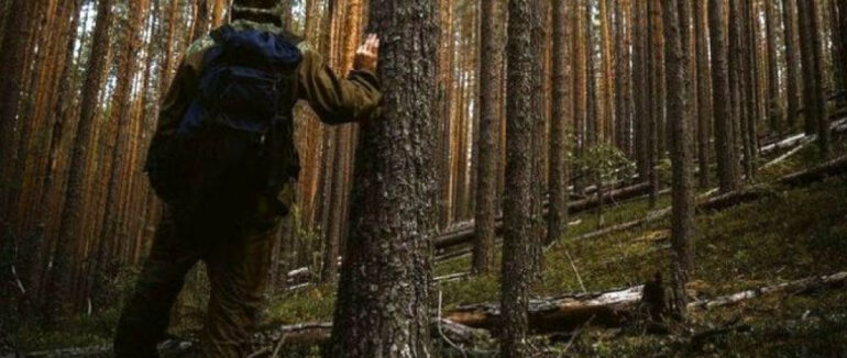 На Ужгородщині шукають грибника, що заблукав у лісі