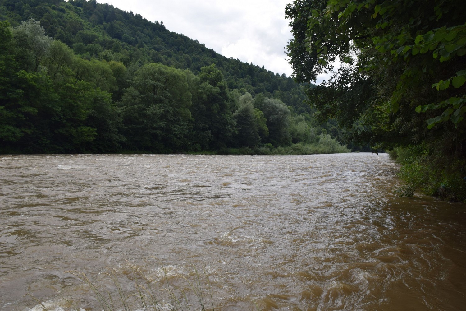 На Закарпатті троє чоловіків намагалися незаконно потрапити до Румунії річкою: один потонув, доля ще одного – невідома (ФОТО)