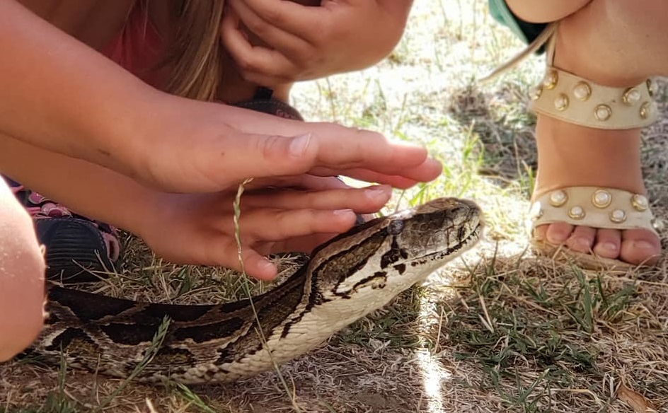 В ужгородському "Акваріумі" діток навчали розуміти і не боятися змій (ФОТО, ВІДЕО)