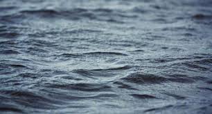 На Мукачівщині у ставку потонула 20-річна дівчина