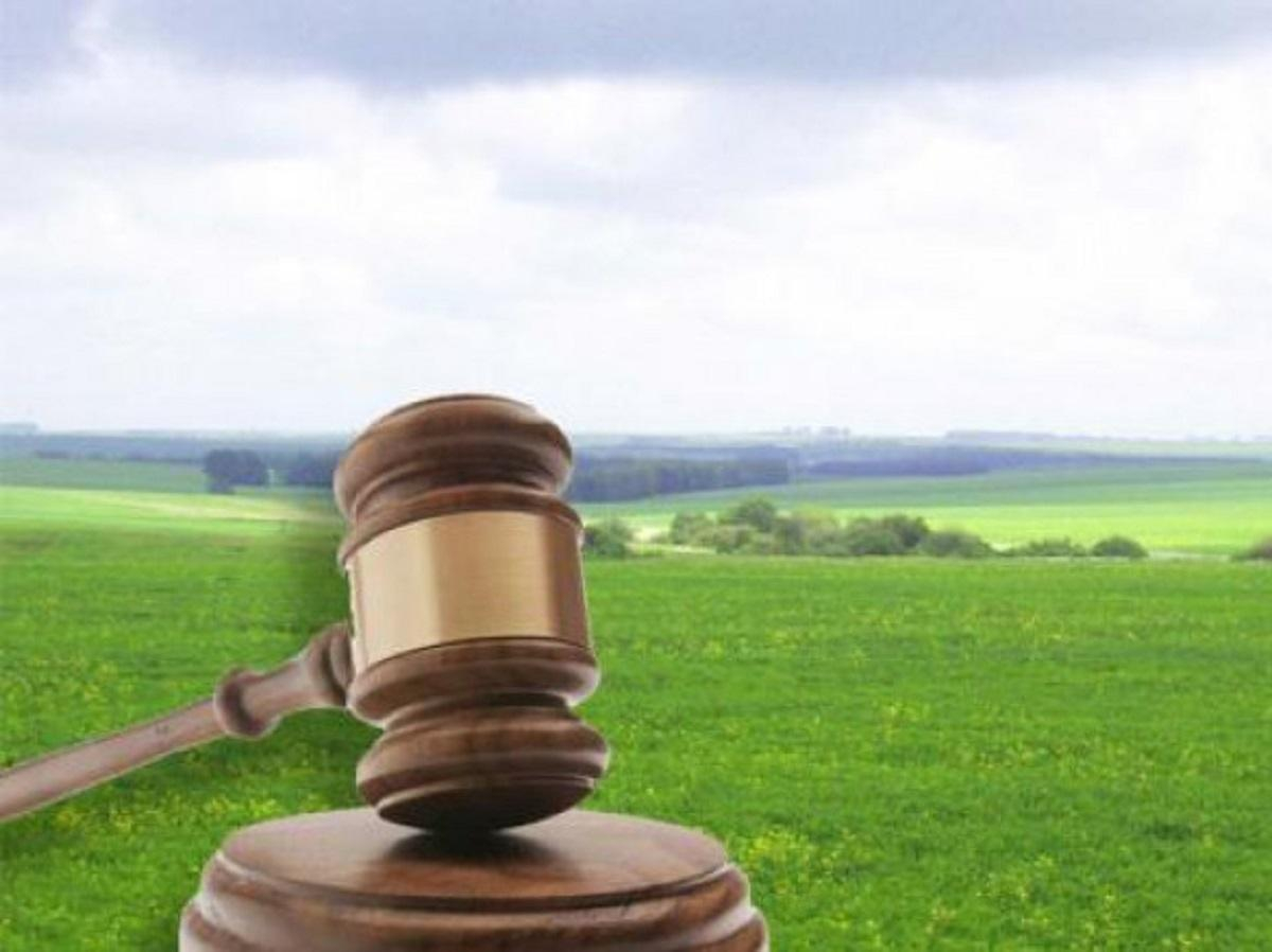 У Мукачеві суд зобов’язав товариство повернути громаді землю вартістю 120 млн грн