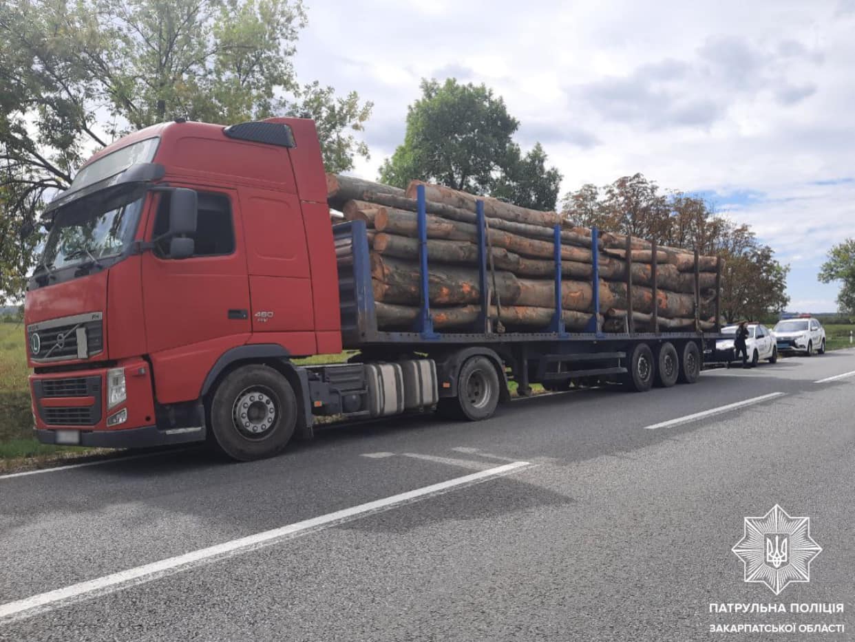 На Берегівщині патрульні зупинили вантажівку з "лівою" деревиною (ФОТО)